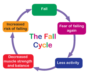 A graphic image showing the fall cycle. From top: Fall, fear of falling again, less activity, decreased muscle strength and balance, increased risk of falling, fall.