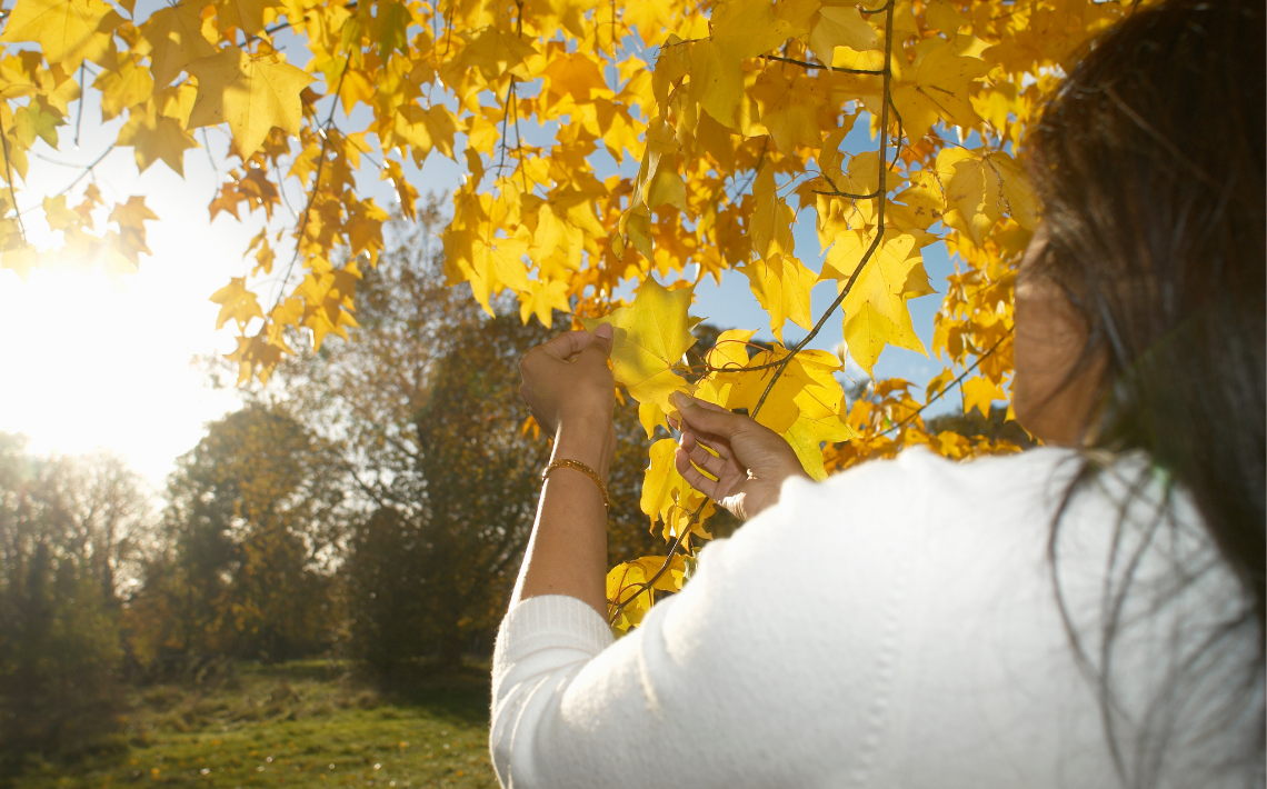 Adult enjoying autumnal scene