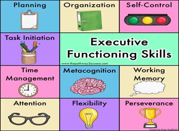 Executive functioning skills