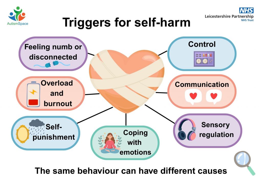 infographic showing triggers for self harm