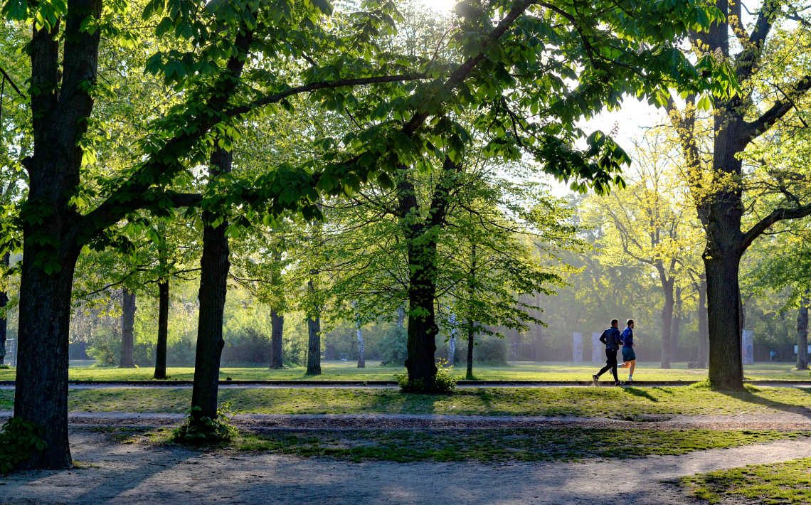 Scenery of a park with people jogging