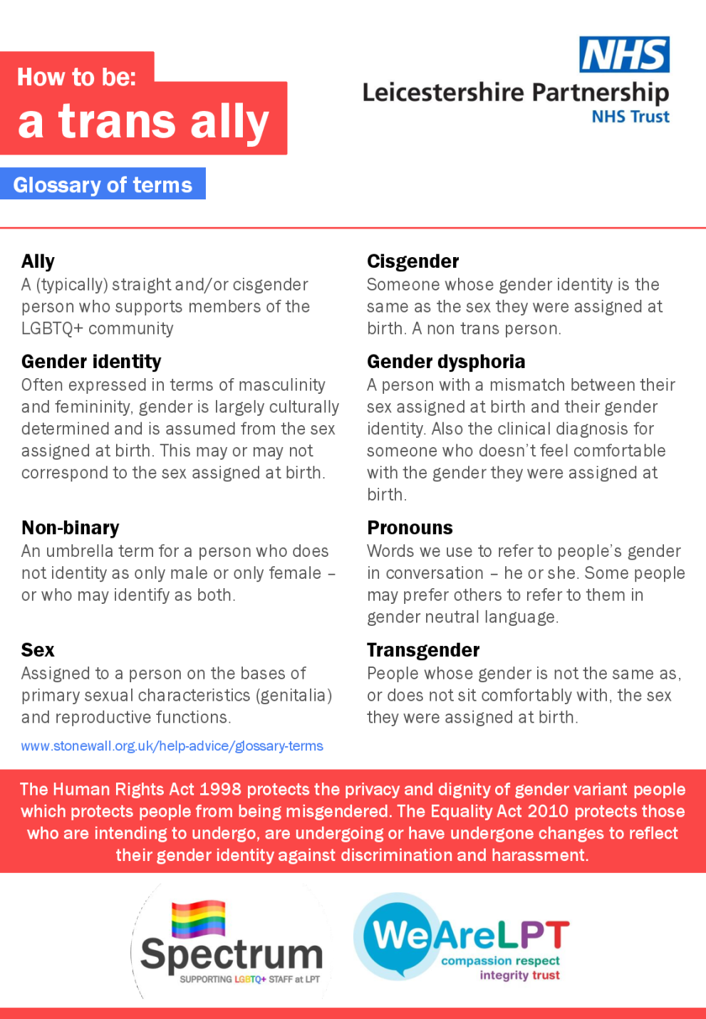 Trans Terminology Infographic