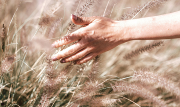 a hand feeling grass