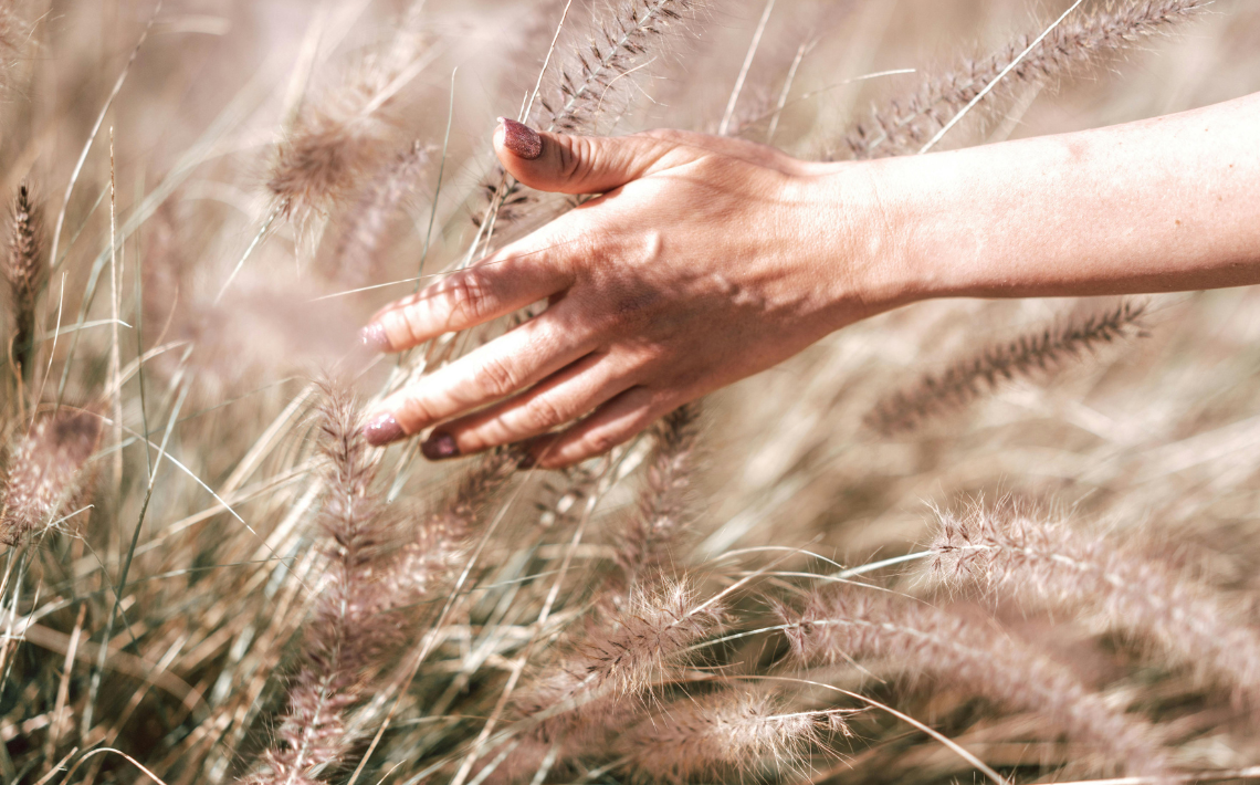 a hand feeling grass